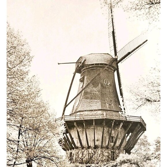 C.1930s RPPC Sanssouci Palace Mill 1788 Germany Potsdam Postcard Unposted E98J - Picture 1 of 3